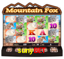 Programa VIP sunybet